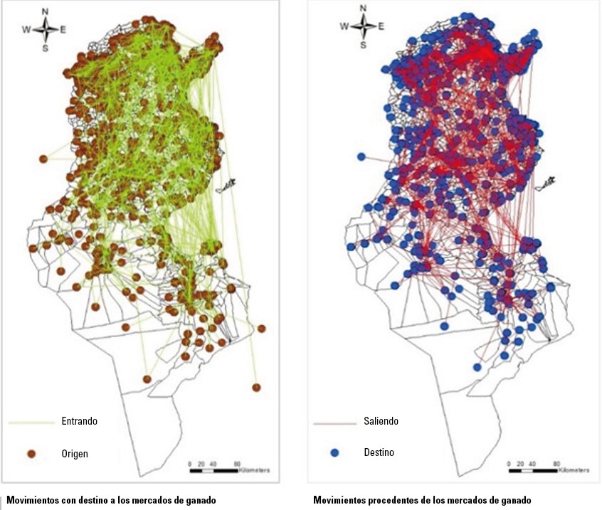 Túnez: mapas movimientos desde/hacia los mercados de ganado