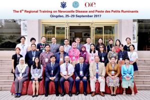 Fig. 4 – Sexto Simposio regional y formación en diagnóstico de la enfermedad de Newcastle y la peste de pequeños rumiantes (Qingdao, China, 2017)