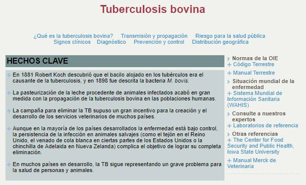 Tuberculosis bovina