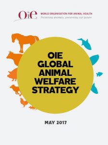 OIE Global AW Strategy