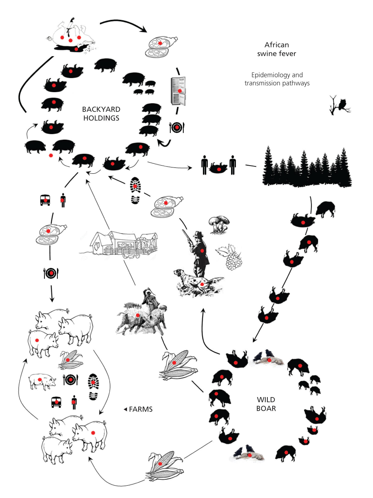 Fig. 1 The ecological complexity of African swine fever