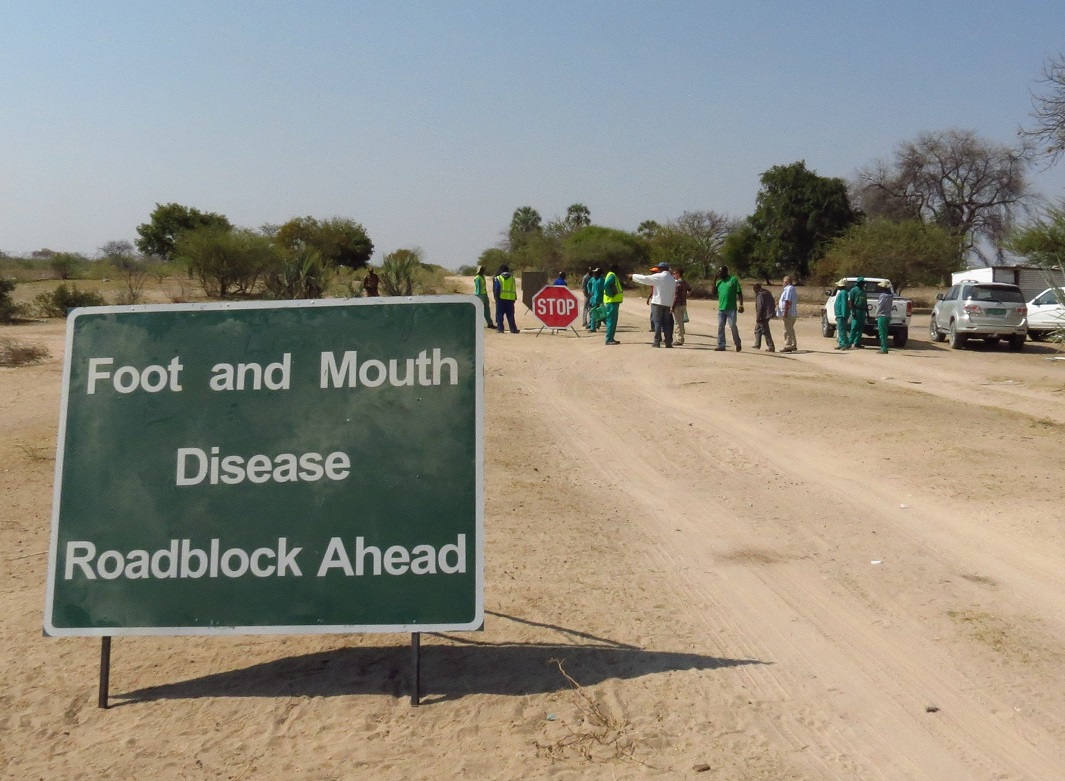 Road block on the Namibia–Angola border