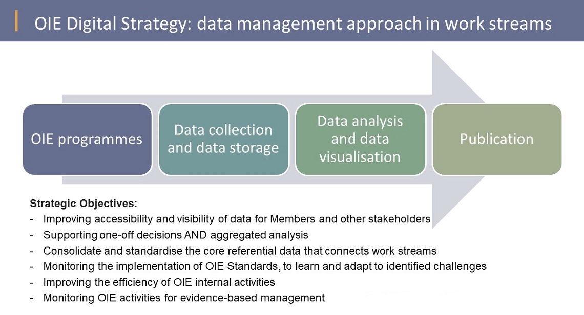 data management approach